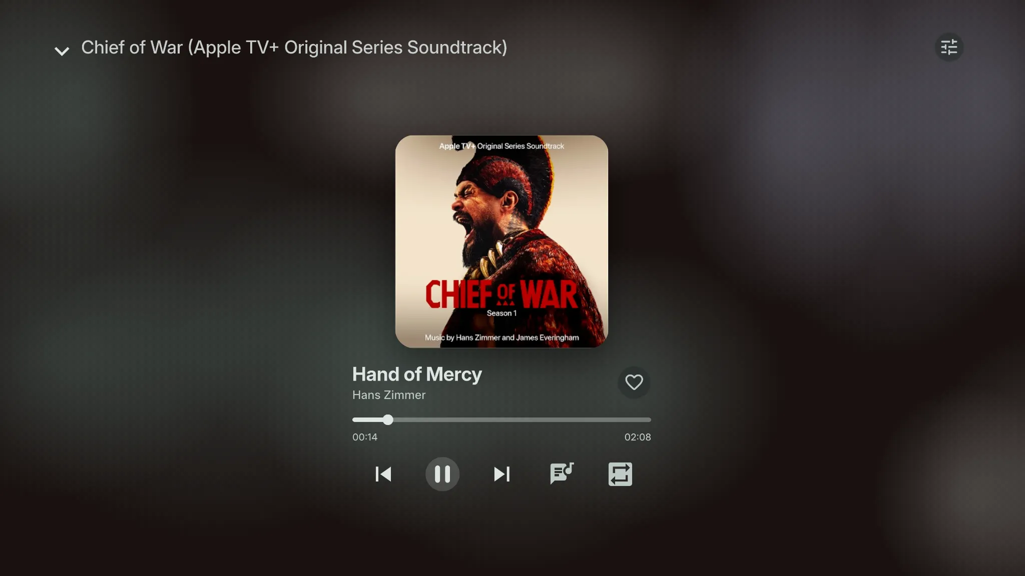ScreenSpot music playback interface